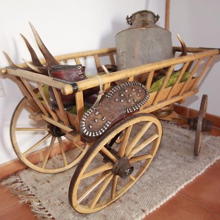 Apart Bergkristall Зерфаус Екстериор снимка
